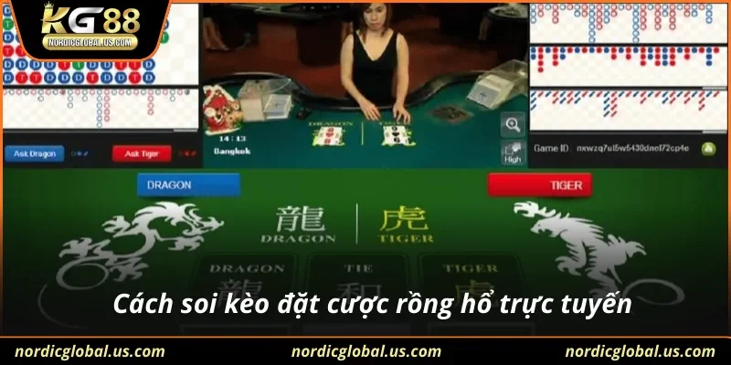 Cách soi kèo đặt cược rồng hổ trực tuyến