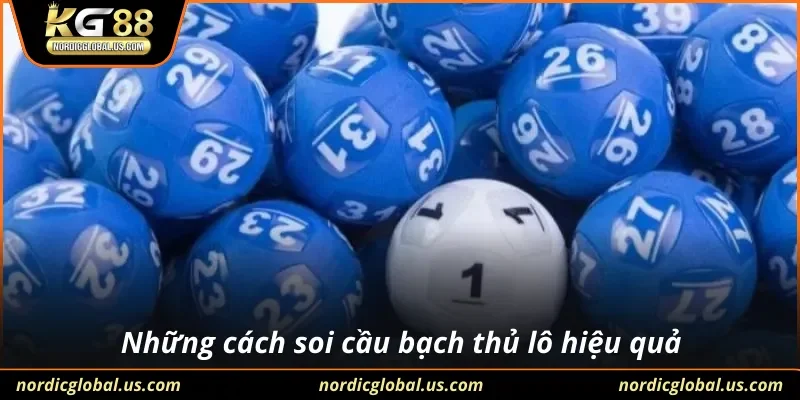 Những cách soi cầu bạch thủ lô hiệu quả
