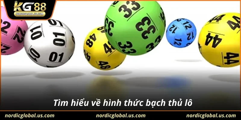 Tìm hiểu về hình thức bạch thủ lô